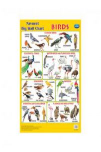 Navneet Birds Chart - 140