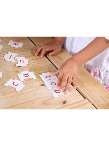Phonemic Awareness and Teaching Phonics